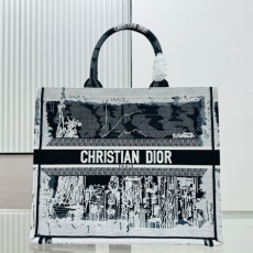 Dior Shopping Bags